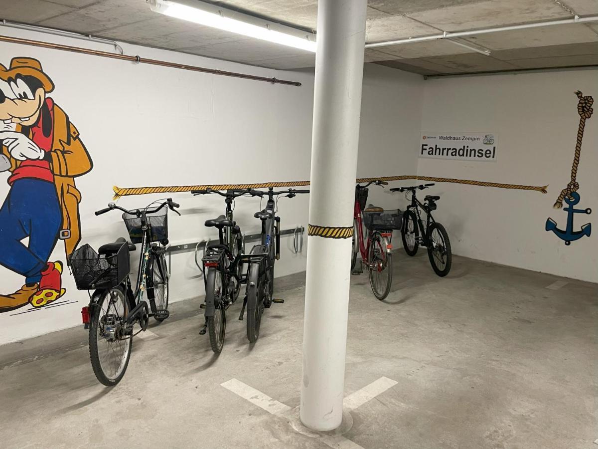Bernsteinfischer *