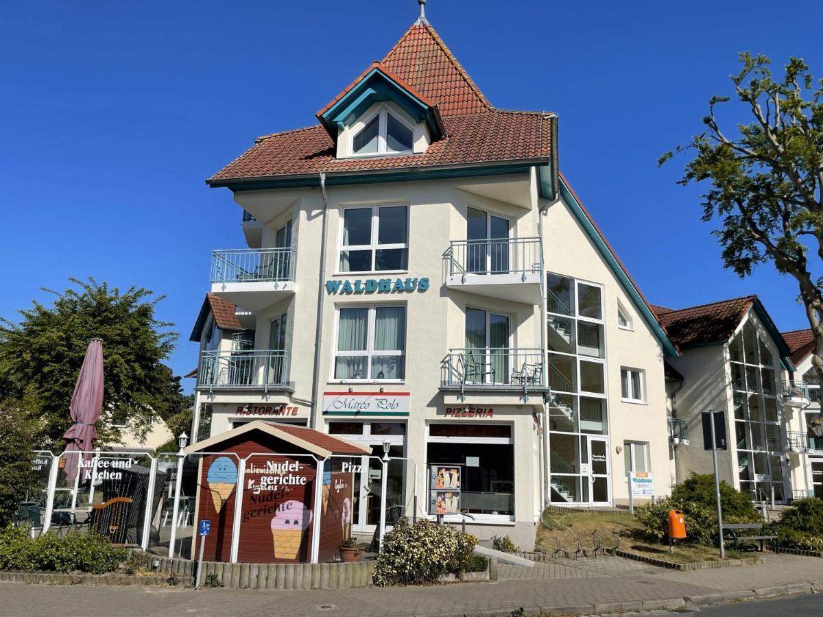 Bernsteinfischer * Zempin